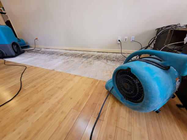 Professional Sewage Cleanup technician working in Nehawka, NE